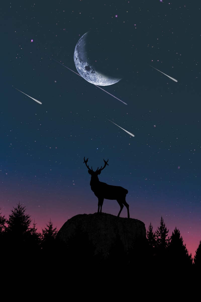 Deer Silhouette On Starry Night In The Forest